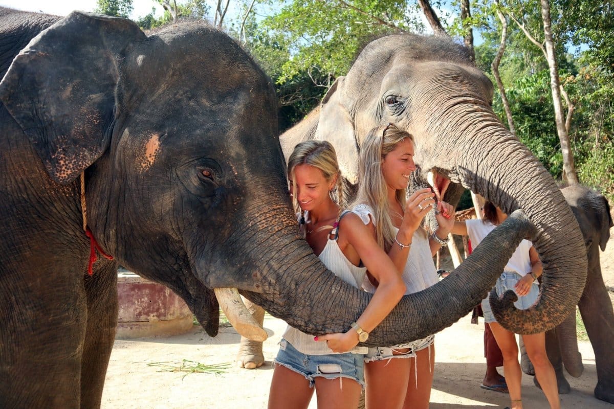 Half Day Elephant Care