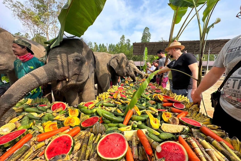 Thai National Elephant Day 2023