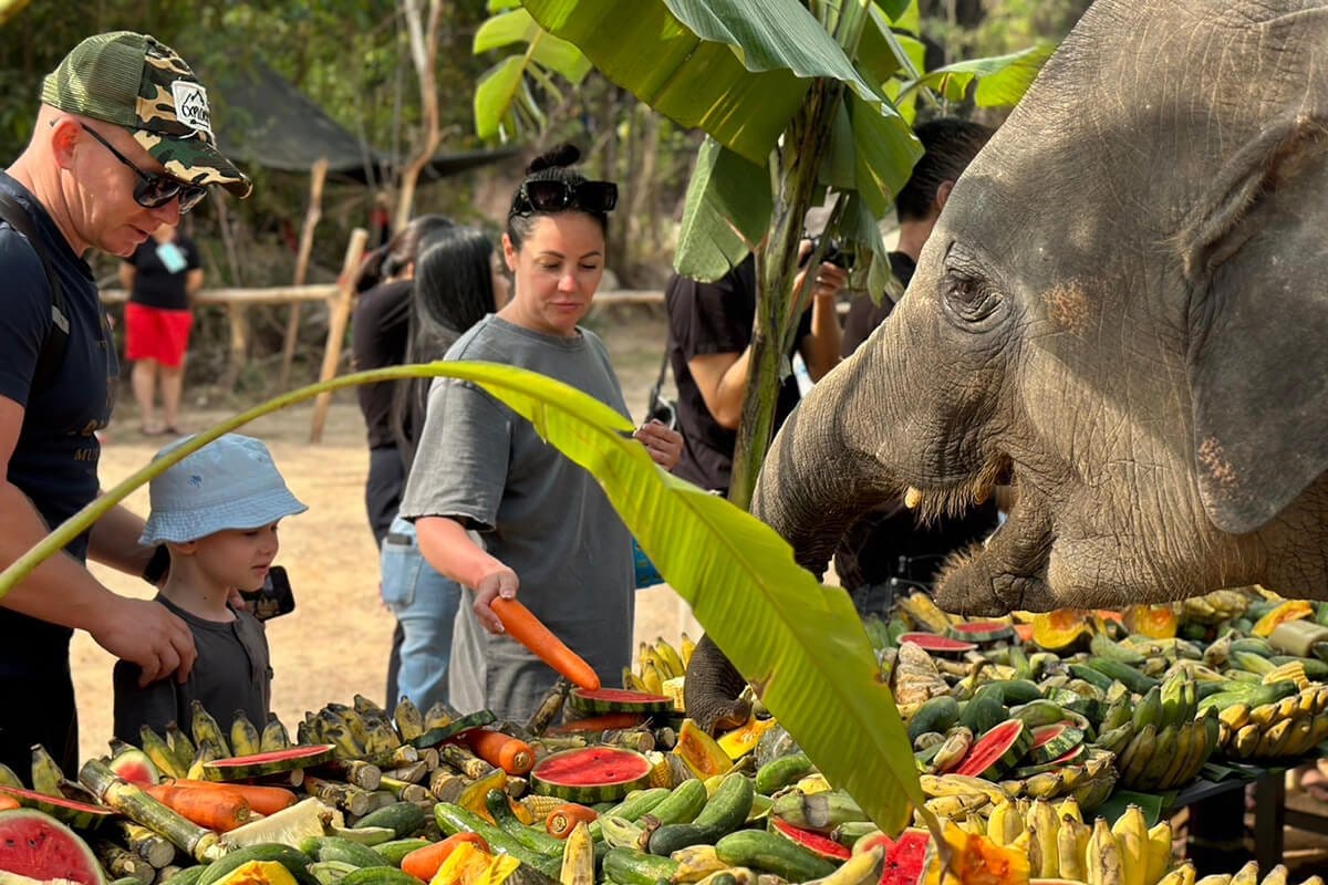 Special Activity on Thai National Elephant Day 2024