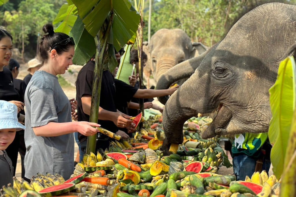 Special Activity on Thai National Elephant Day 2024